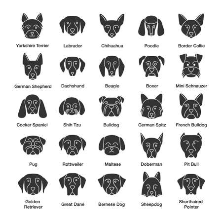 Dogs breeds glyph icons set. Guide, guardian, hunting, herding dogs. Silhouette symbols. Vector isolated illustratioのイラスト素材