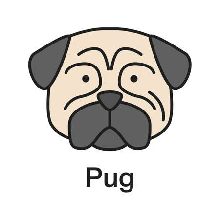 Pug color icon. Mops. Companion dog breed. Isolated vector illustrationのイラスト素材