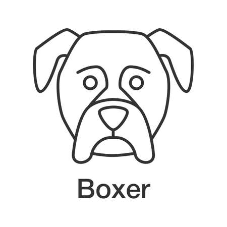 Boxer linear icon. Thin line illustration. Guardian dog breed. Contour symbol. Vector isolated outline drawingのイラスト素材
