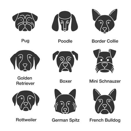 Dogs breeds glyph icons set. Pug, poodle, Border Collie, Golden Retriever, boxer, Miniature Schnauzer, Rottweiler, German Spitz, French Bulldog. Silhouette symbols. Vector isolated illustratioのイラスト素材
