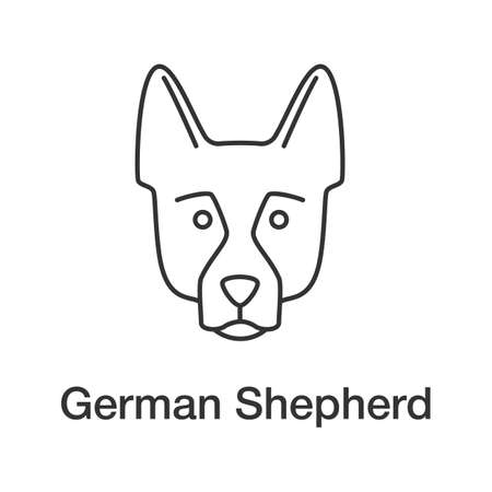 German Shepherd linear icon. Alsatian. Thin line illustration. Guide dog breed. Contour symbol. Vector isolated outline drawingのイラスト素材