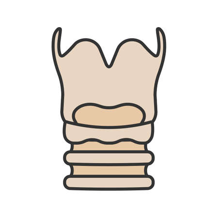 Larynx color icon. Voice box. Isolated vector illustrationのイラスト素材