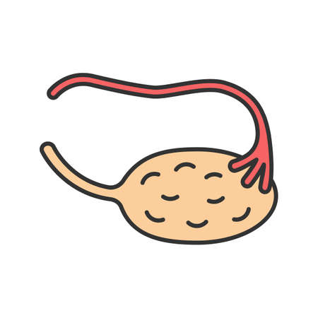 Ovary and fallopian tube color icon. Female reproductive system.のイラスト素材