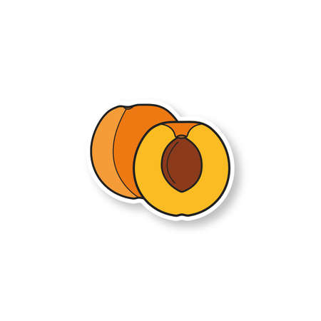 Apricot patch. Color sticker. Vector isolated illustrationのイラスト素材
