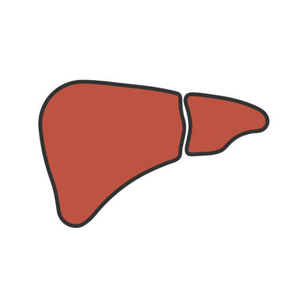 Liver color icon. Digestive gland. Isolated vector illustrationのイラスト素材