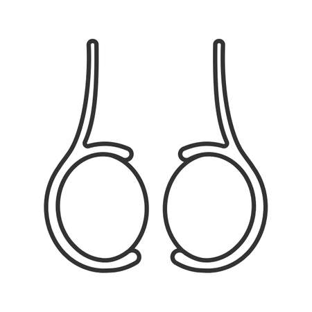 Testicles linear icon. Thin line illustration. Testis. Male reproductive gland. Contour symbol. Vector isolated outline drawingのイラスト素材