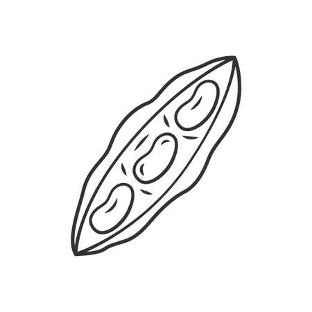 Haricot linear icon. Agriculture plant. Vegetable farm. Kidney bean. Greenery. Healthy diet. Vegetarian food. Thin line illustration. Contour symbol. Vector isolated outline drawing. Editable strokeのイラスト素材