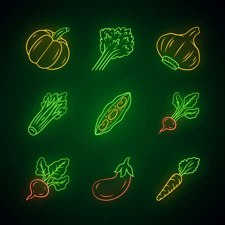 Vegetables neon light icons set. Pumpkin, beet, corn, tomato, eggplant, pepper. Vitamin. Diet. Healthy nutrition. Vegetarian food. Glowing signs. Vector isolated illustrationsのイラスト素材