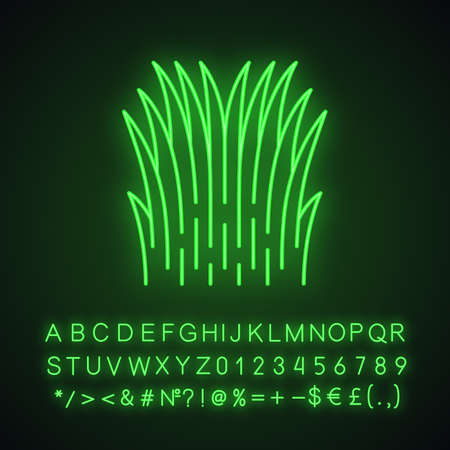 Mexican thread grass neon light icon. Lush herbal bush. Nassella tenuissima. Finestem needlegrass. High green grass. Glowing sign with alphabet, numbers and symbols. Vector isolated illustrationのイラスト素材