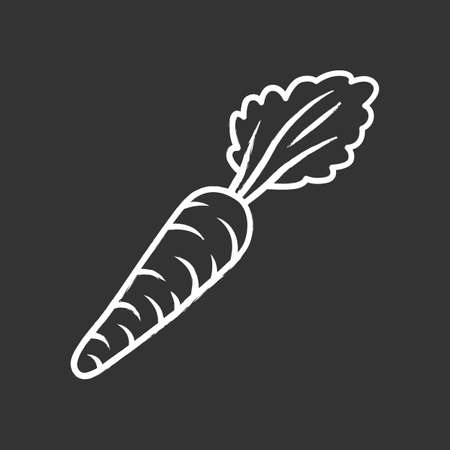Carrot chalk icon. Agriculture plant. Salad ingredient. Vegetable farm. Vitamin. Vegetarian and vegan nutrition. Organic food. Healthy food. Soup and diet. Isolated vector chalkboard illustrationのイラスト素材