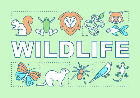 Wildlife word concepts banner. Travel experience. Wild animals observation. Jungle trip. National parks. Presentation, website. Isolated lettering typography idea, icon. Vector outline illustrationのイラスト素材