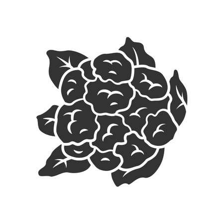 Cauliflower glyph icon. Cabbage. Agriculture plant. Salad ingredient. Vegetable farm. Vegetarian and vegan nutrition. Organic food. Silhouette symbol. Negative space. Vector isolated illustrationのイラスト素材
