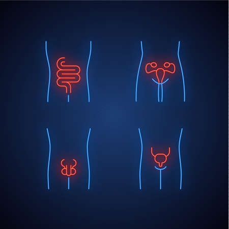 Healthy human organs neon light icons set. Intestines and urinary bladder in good health. Functioning men and women reproductive systems. Fertility. Glowing signs. Vector isolated illustrationsのイラスト素材