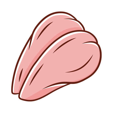 Chicken breast color icon. Butchers meat. Protein source. Meat production and sale. Butchery business. Isolated vector illustrationのイラスト素材