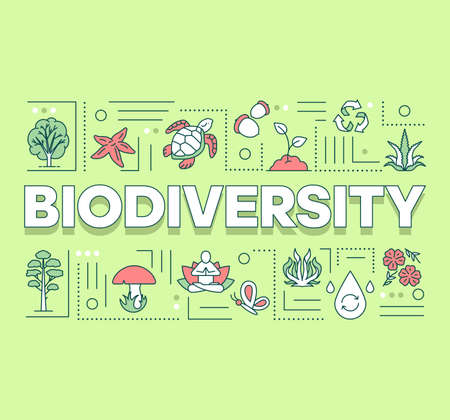 Biodiversity word concepts banner. Forest reserve. Maintenance of ecosystem. Underwater life. Presentation, website. Isolated lettering typography idea with linear icons. Vector outline illustrationのイラスト素材