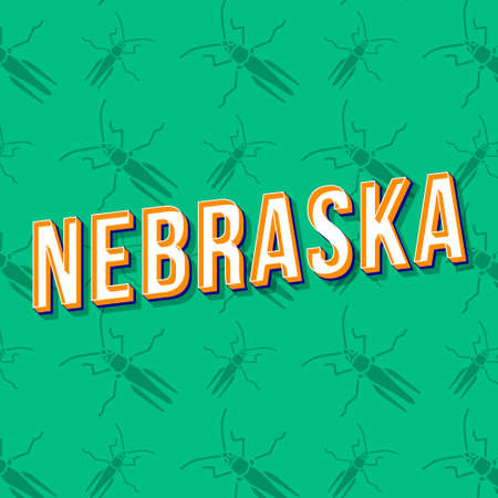 Nebraska vintage 3d vector lettering. Retro bold font, typeface. Pop art stylized text. Old school style letters. 90s, 80s poster, banner, t shirt typography design. Emerald color backgroundのイラスト素材
