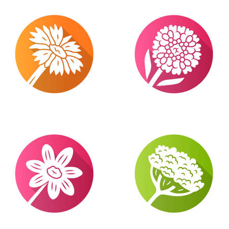 Wild flowers flat design long shadow glyph icons set. Cow parsnip, candytuft, coreopsis, blanket flower. Blooming wildflowers, weed. Spring blossom. Field, meadow plant. Vector silhouette illustrationのイラスト素材