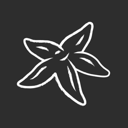 Starfish chalk icon. Tropical underwater creature. Invertebrate mollusk. Star shaped aquarium organism. Exotic undersea creature. Marine star, ocean fauna. Isolated vector chalkboard illustrationのイラスト素材