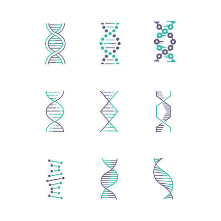 DNA spirals violet and turquoise color icons set. Deoxyribonucleic, nucleic acid helix. Spiraling strands. Chromosome. Molecular biology. Genetic code. Genome. Genetics. Isolated vector illustrationsのイラスト素材