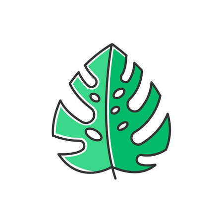 Monstera leaf green color icon. Evergreen tropical forest vines. Swiss cheese plant. Indonesian islands nature. Discovering Bali nature. Exploring jungles flora. Isolated vector illustrationのイラスト素材