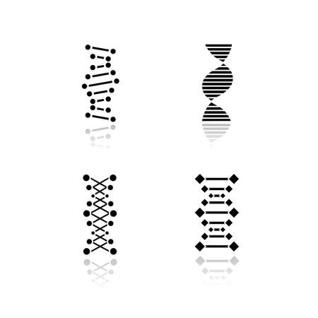 DNA chains drop shadow black glyph icons set. Deoxyribonucleic, nucleic acid helix. Spiraling strands. Chromosome. Molecular biology. Genetic code. Genome. Genetics. Isolated vector illustrationsのイラスト素材
