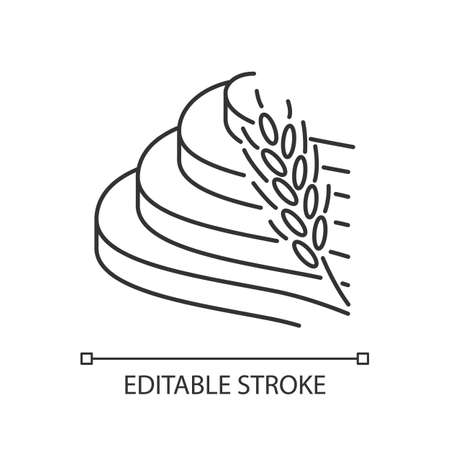 Rice terraced field linear icon. Agricultural products. Indonesian farmland. Terrace farming. Growing cereal. Thin line illustration. Contour symbol. Vector isolated outline drawing. Editable strokeのイラスト素材
