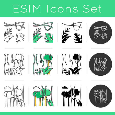 Rainforest plants icons set. Evergreen forest vines. Swiss cheese plant. Trip to Indonesian jungle. Bali nature. Tropical flora. Linear, black, chalk and color styles. Isolated vector illustrationsのイラスト素材