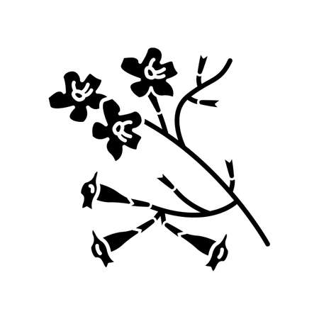 Plumeria black glyph icon. Ipe tree. Tropical blossom. Brazilian flower. South american plant. Exotic floret. Botany. Silhouette symbol on white space. Vector isolated illustrationのイラスト素材