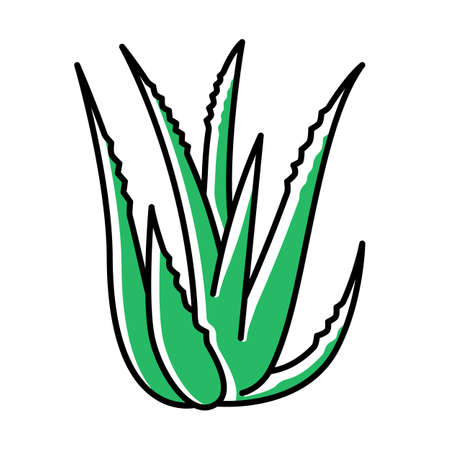 Aloe vera green color icon. Succulent growing sprouts. Cactus leaves and thorns. Medicinal herb for skincare. Decorative plant.. Ingredient for organic cosmetic. Isolated vector illustrationのイラスト素材