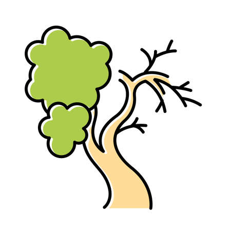 Fig tree color icon. Old half dead tree. Healthy leaved part and dying part symbol. Biblical plant of life. Bible narrative. Gospel story. Isolated vector illustrationのイラスト素材
