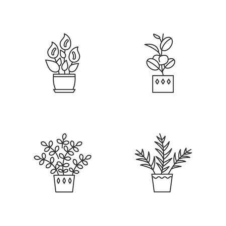 Indoor Plants Pixel Perfect Linear Icons Set Houseplants Peace Pixel Perfect Linear Icons Set