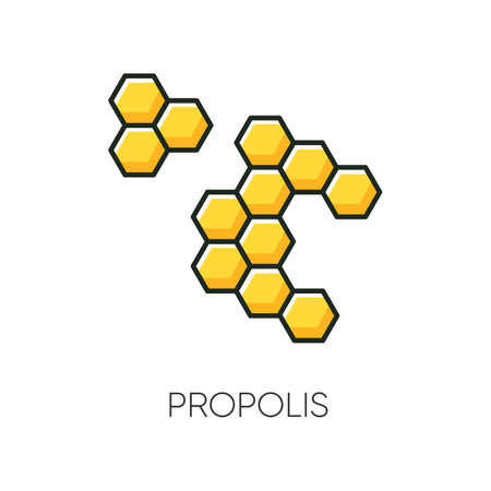 Propolis RGB color icon. Honey combs. Hive cell. Acne treatment component. Beekeeping, beeswax....