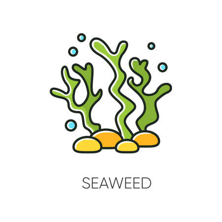 Seaweed RGB color icon. Natural component. Skincare treatment product. Antiaging effect. Ecology and biology. Marine grass extract. Cosmetic ingredient. Isolated vector illustrationのイラスト素材