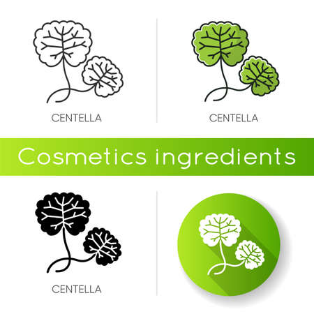 Centella icon. Healing plant. Herbal component. Natural skincare. Organic treatment. Leaves for nourishment. Korean beauty cosmetic ingredient. Linear black and RGB color stylesのイラスト素材