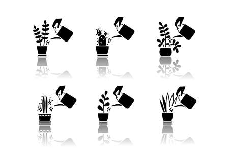 Houseplant care drop shadow black glyph icons set. Domestic plant cultivation. Watering domestic plants. Moisturizing, rehydrating soil. Moistening ground. Isolated vector illustrations on white spaceのイラスト素材