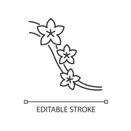 Sakura pixel perfect linear icon. Blossom on tree branch. Japanese hanami. Flourish on twig. Thin line customizable illustration. Contour symbol. Vector isolated outline drawing. Editable strokeのイラスト素材