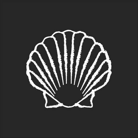 Scallop shell chalk white icon on black background. Exotic seashell, decorative conch. Ocean souvenir, conchology Chlamys imbricatus. Oyster, clam shell isolated vector chalkboard illustrationのイラスト素材