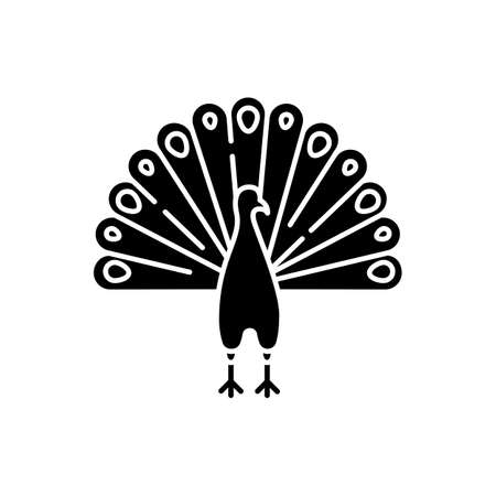 Peacock black glyph icon. Indian peafowl with spread feathers. Pheasant species. Brightly colored bird native to India. Asian wildlife. Silhouette symbol on white space. Vector isolated illustrationのイラスト素材