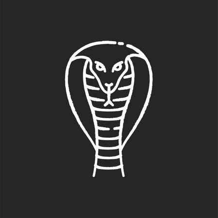King cobra chalk white icon on black background. Hamadryad. Venomous snake with hood. Dangerous reptile. Endemic species of India. Aggressive animal. Asian wildlife. Isolated vector chalkboardのイラスト素材