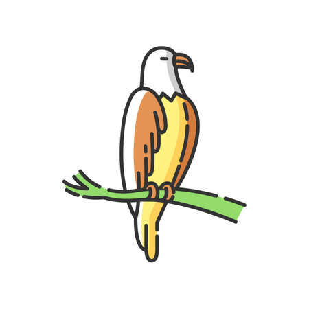 Eagle RGB color icon. Dangerous bird of prey, flying animal, winged predator. American national. Hawk, falcon sitting on tree branch isolated vector illustrationのイラスト素材