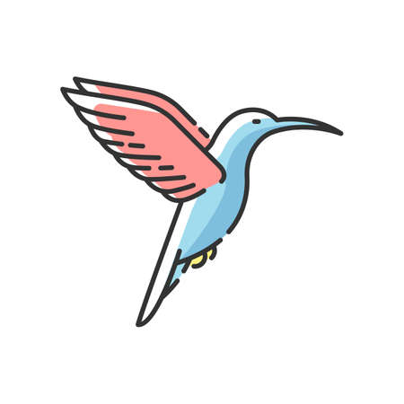 Hummingbird RGB color icon. Small exotic bird, Ecuador inhabitant. South and North America fauna. Zoology, ornithology. Tiny colibri isolated vector illustrationのイラスト素材