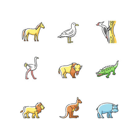 Flying and land animals RGB color icons set. Common birds and exotic wildlife. Diverse herbivore mammals and carnivore predators. Isolated vector illustrationsのイラスト素材