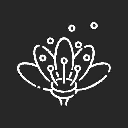 Pollen chalk white icon on black background. Natural flowers reproduction. Pollination process, seasonal allergy, beekeeping. Blooming flower bud in blossom isolated vector chalkboard illustrationのイラスト素材