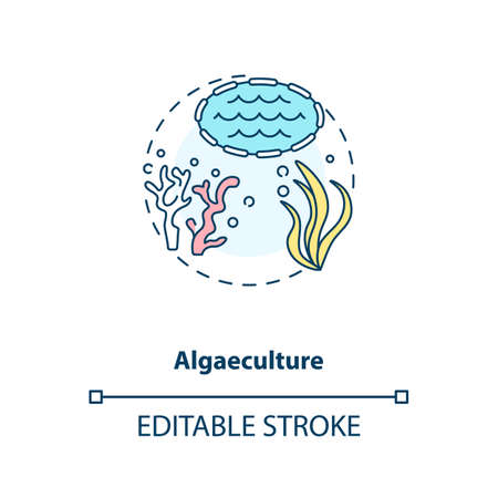 Algaeculture concept icon. Seaweed growings environment. Organic seafoods production. Aquaculture idea thin line illustration. Vector isolated outline RGB color drawing. Editable strokeのイラスト素材