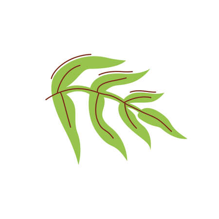Green leaves flat vector abstract element. Seasonal color changing RGB color clipart (with lineart). Harvest time. Autumn leaf color. Fall foliage isolated organic shape on white backgroundのイラスト素材