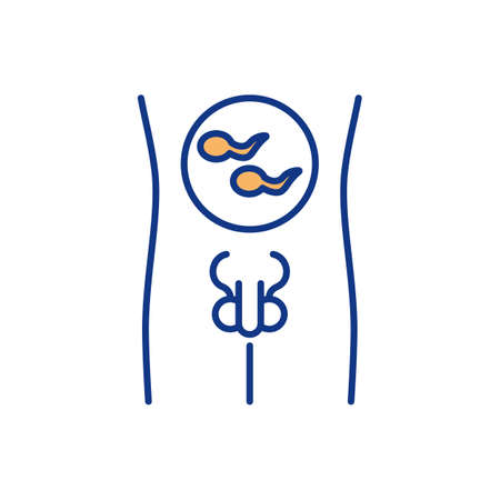 Male reproductive system RGB color icon. Generating sperm cells. Human reproduction process. Making testosterone. Man sex hormone. Spermatogenesis. Human fertility. Isolated vector illustrationのイラスト素材