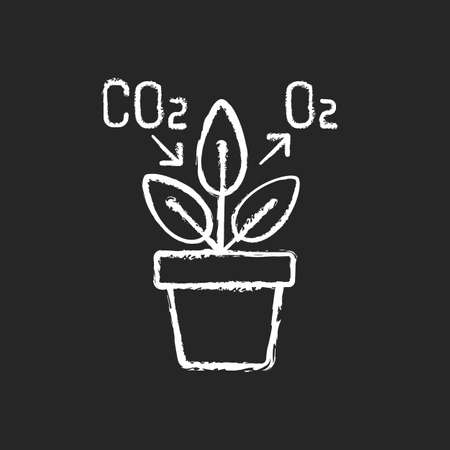Air purifying plant chalk white icon on black background. Plants clean the air through the process of photosynthesis. Oxygen level increasing. Isolated vector chalkboard illustrationのイラスト素材