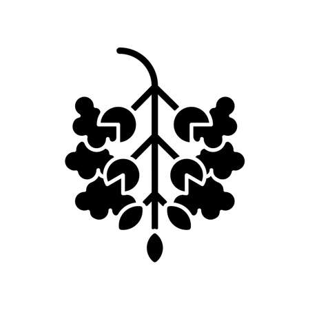 Poplar tree pollen black glyph icon. Cottonwood plant. Cause of allergic reaction. Seasonal airborne allergen. Allergy for plant. Silhouette symbol on white space. Vector isolated illustrationのイラスト素材