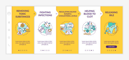 Liver purposes onboarding vector template. Responsive mobile website with icons. Web page walkthrough 5 step screens. Fighting infections, releasing bile color concept with linear illustrationsのイラスト素材