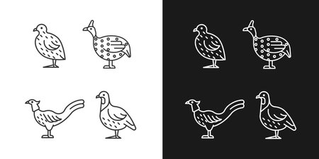 Landfowl linear icons set for dark and light mode. Japanese quail. Pheasant family. Guinea fowl. Customizable thin line symbols. Isolated vector outline illustrations. Editable strokeのイラスト素材
